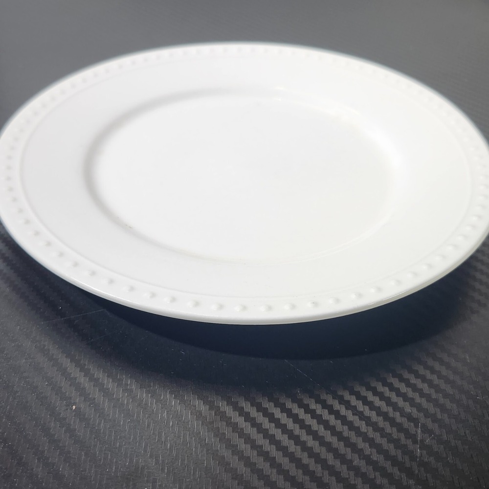 International Silver Company Fine China Ribbed Edge Dinner Plate
